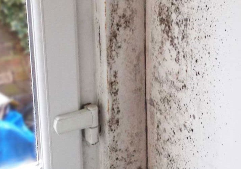 Mur humide avec salpêtre indiquant une humidité ascensionnelle dans une maison en Belgique